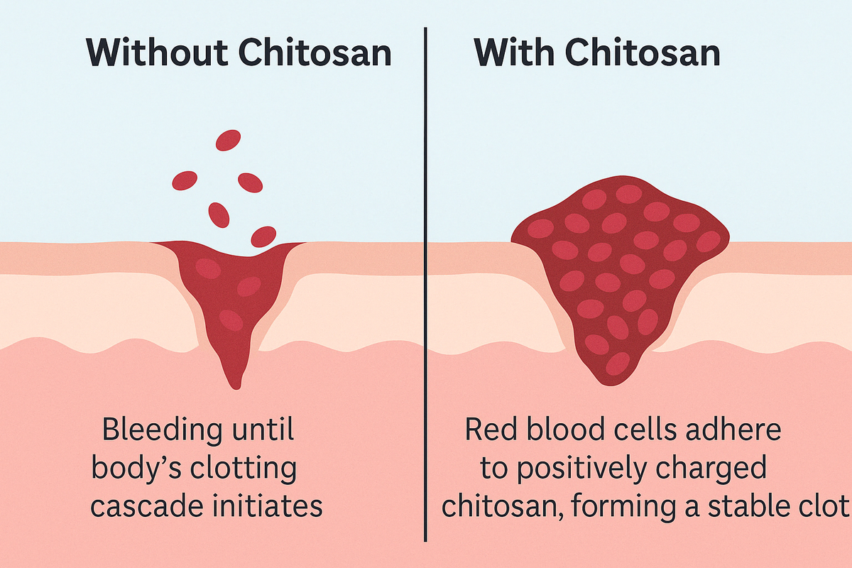 benefits of chitosan
